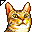 Emoticons: emoticon