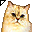 Emoticons: emoticon