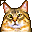 Emoticons: emoticon