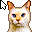 Emoticons: emoticon