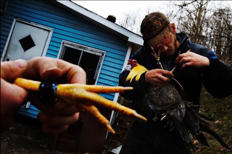 Shooting american family, Kentucky, by Carl Kiilsgaard