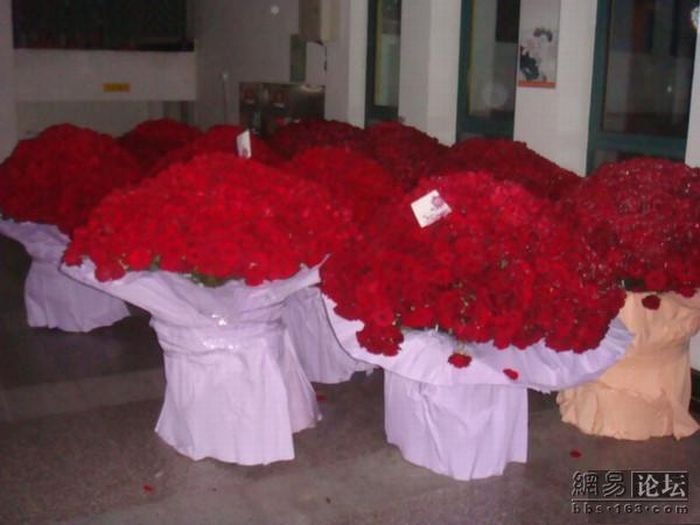 10000 roses for a girl