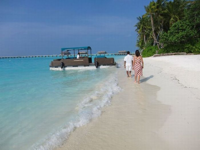 Fairyland proposall, Maldives, Indian Ocean