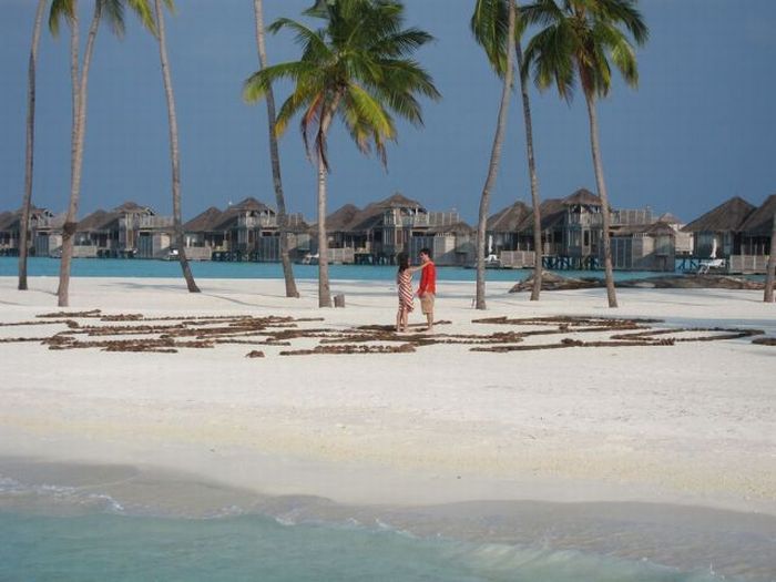 Fairyland proposall, Maldives, Indian Ocean