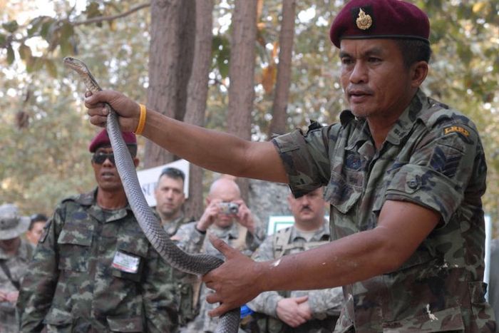 Cobra Gold, multinational military exercises, Thailand
