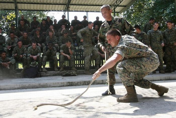 Cobra Gold, multinational military exercises, Thailand