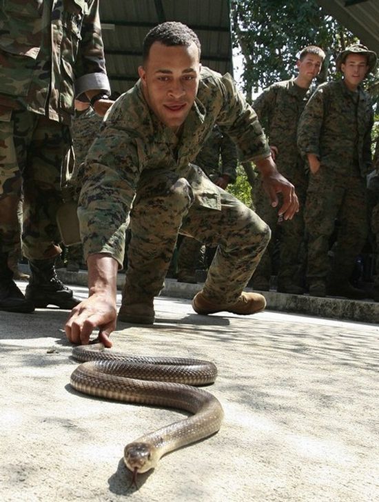 Cobra Gold, multinational military exercises, Thailand