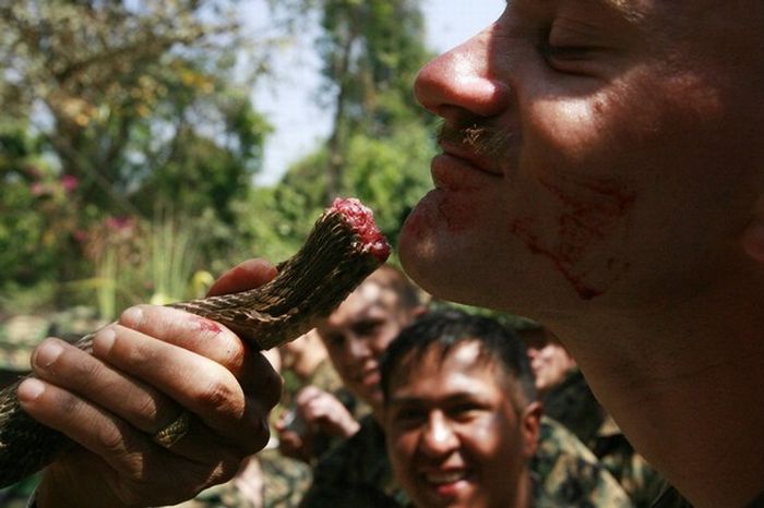 Cobra Gold, multinational military exercises, Thailand