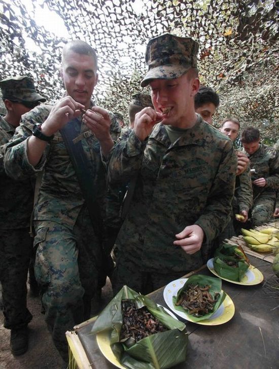 Cobra Gold, multinational military exercises, Thailand