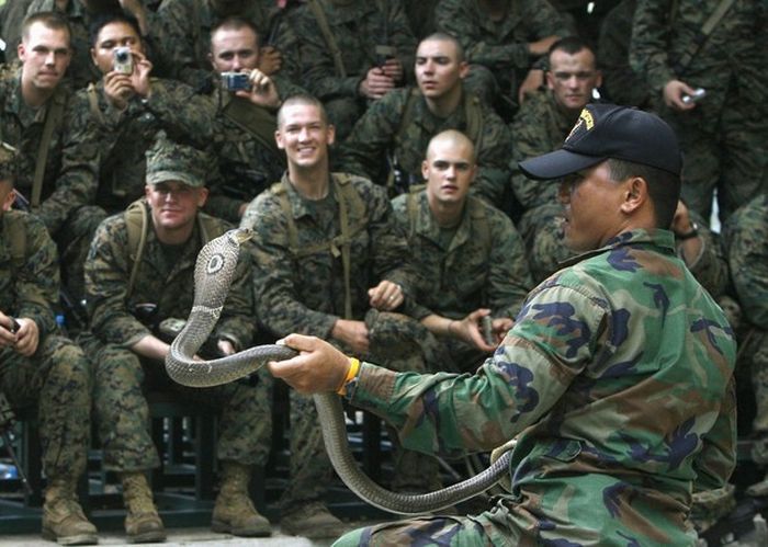 Cobra Gold, multinational military exercises, Thailand