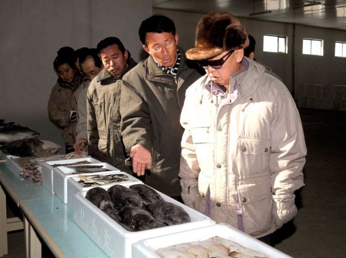 Kim Jong-il inspection and audit