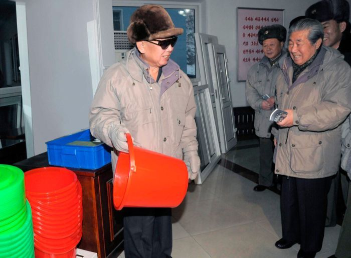 Kim Jong-il inspection and audit