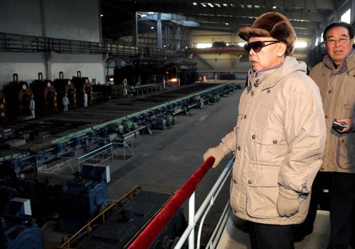 Kim Jong-il inspection and audit