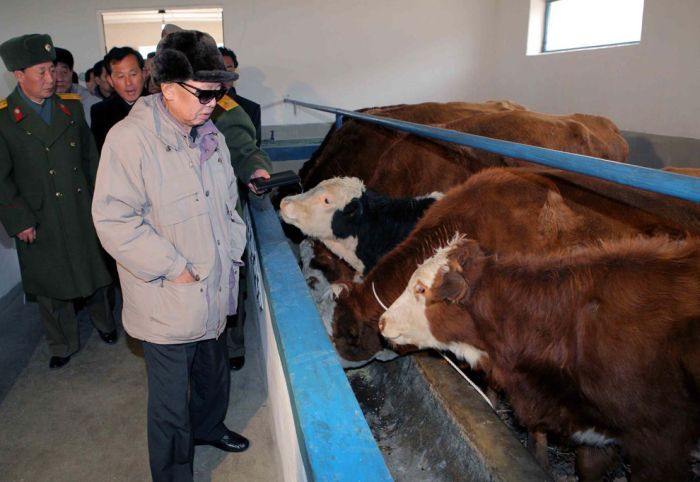 Kim Jong-il inspection and audit