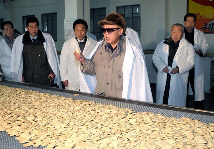 Kim Jong-il inspection and audit