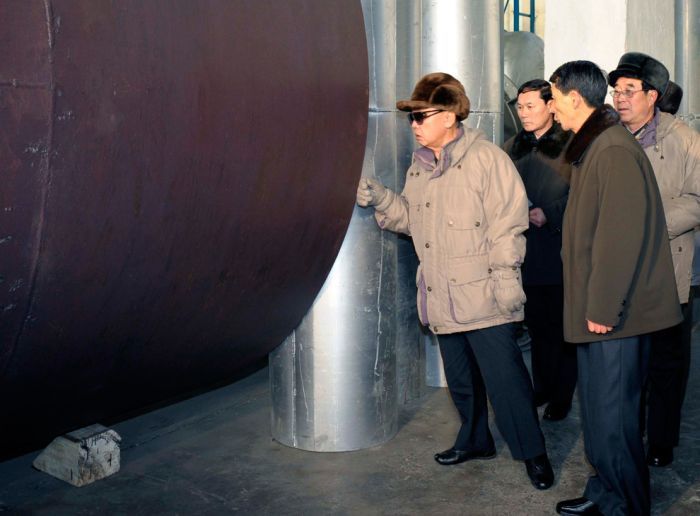 Kim Jong-il inspection and audit