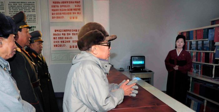 Kim Jong-il inspection and audit