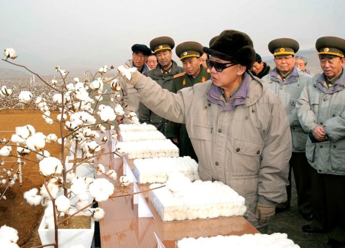 Kim Jong-il inspection and audit