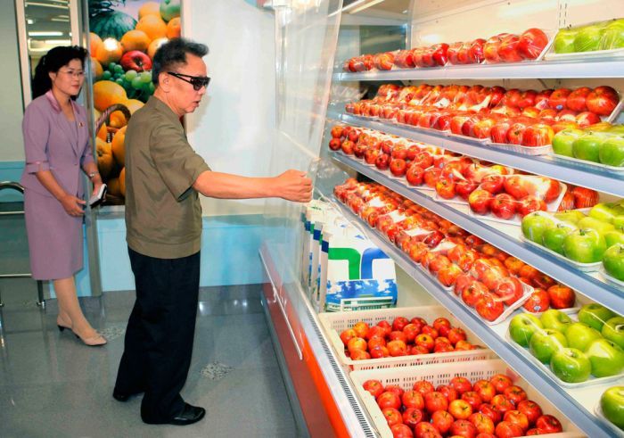 Kim Jong-il inspection and audit