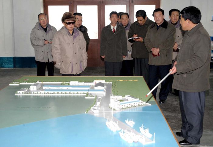 Kim Jong-il inspection and audit