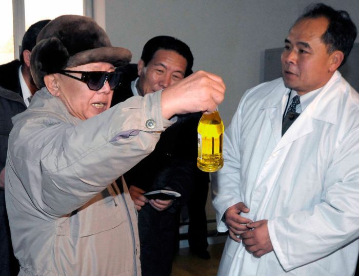 Kim Jong-il inspection and audit