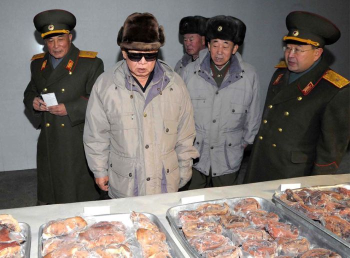 Kim Jong-il inspection and audit