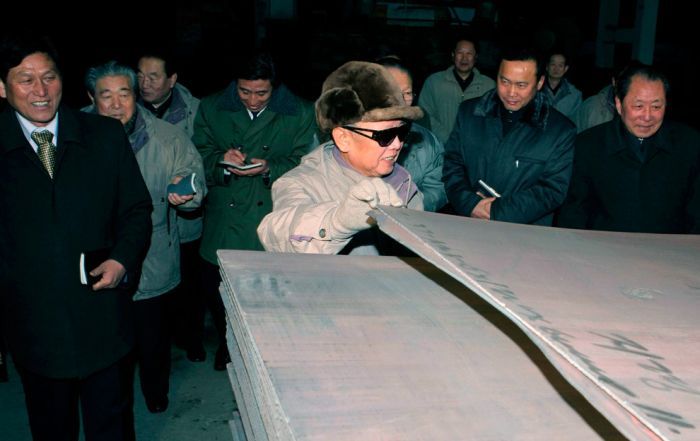 Kim Jong-il inspection and audit