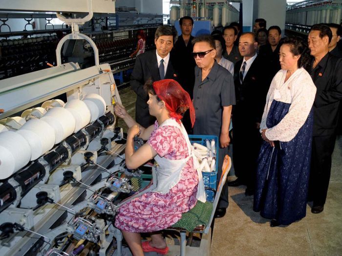 Kim Jong-il inspection and audit