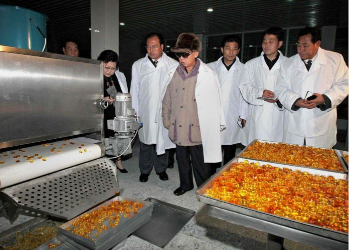 Kim Jong-il inspection and audit