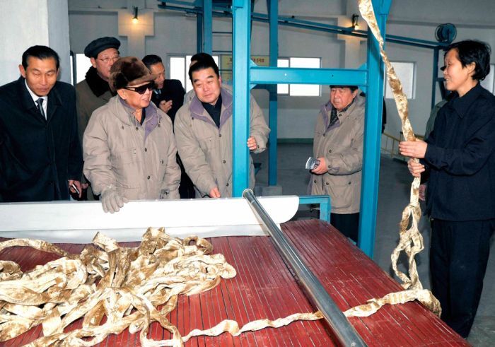 Kim Jong-il inspection and audit