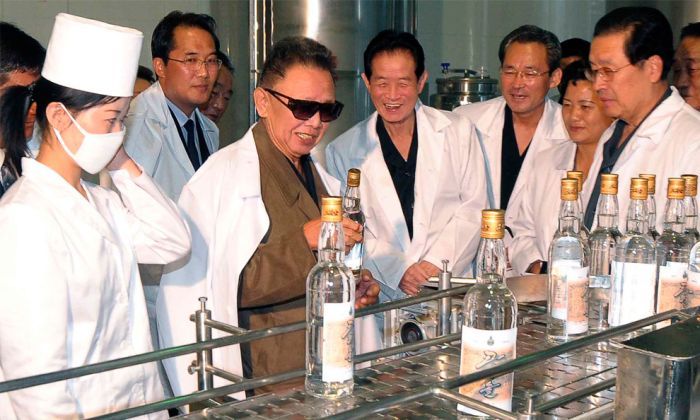 Kim Jong-il inspection and audit