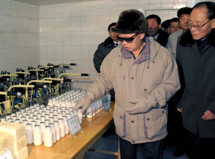 Kim Jong-il inspection and audit