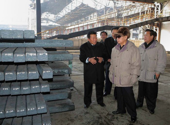 Kim Jong-il inspection and audit