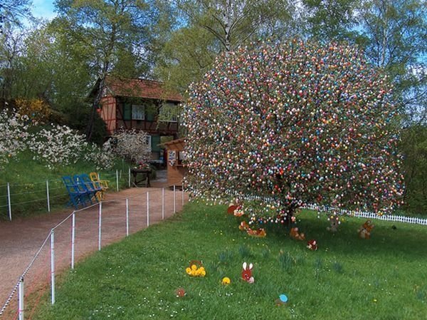 Easter Tree by Volker Kraft