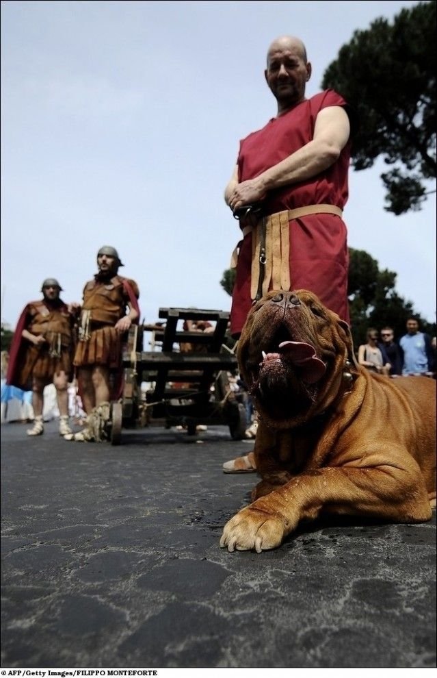 Ancient rome parade, Rome, Italy