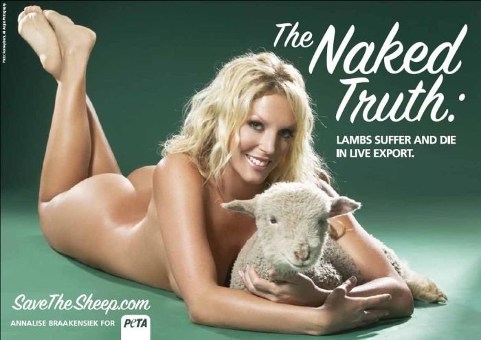 PETA Activists campaign