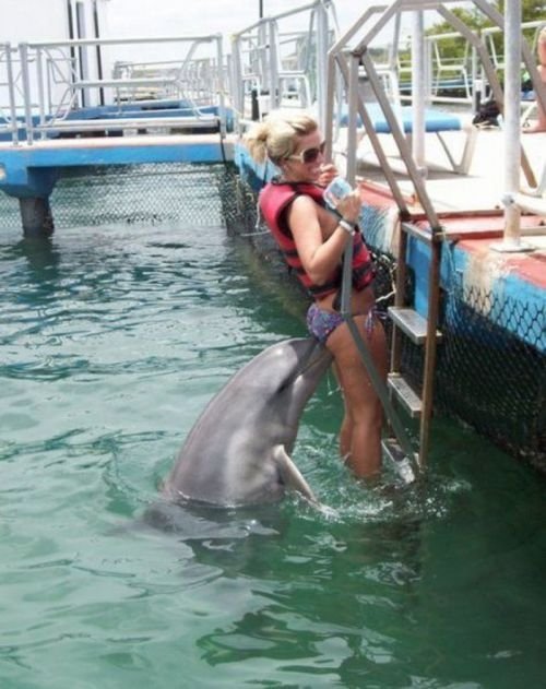 girl with dolphin
