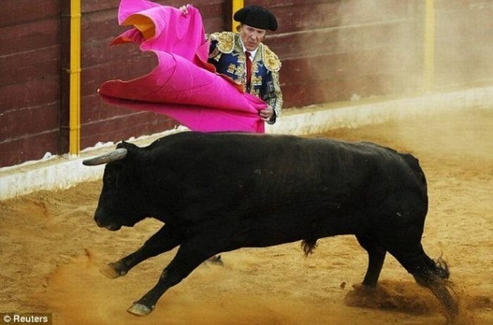 Frank Evans, 67-year-old Matador