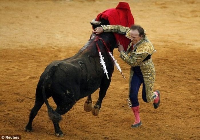 Frank Evans, 67-year-old Matador