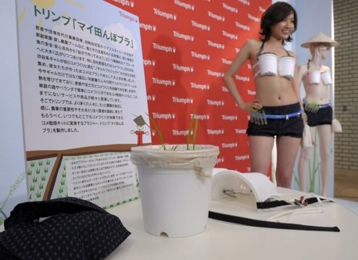 Grow-Your-Own Rice Bra