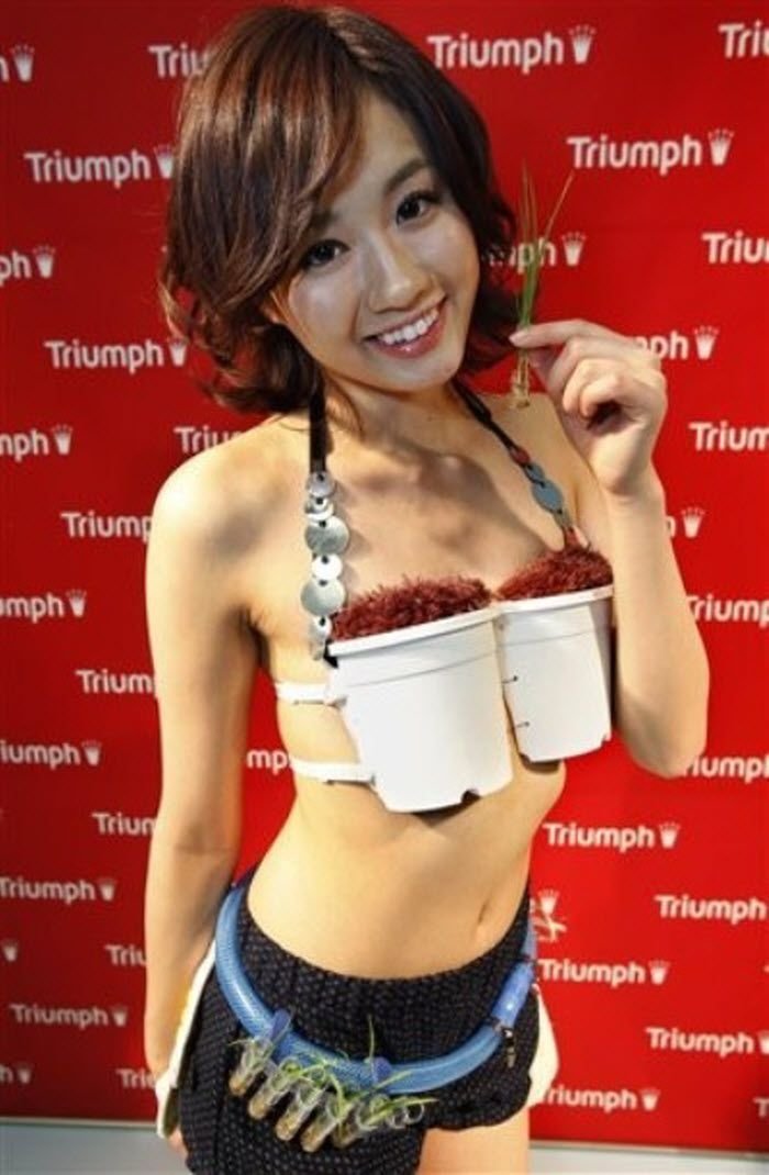 Grow-Your-Own Rice Bra