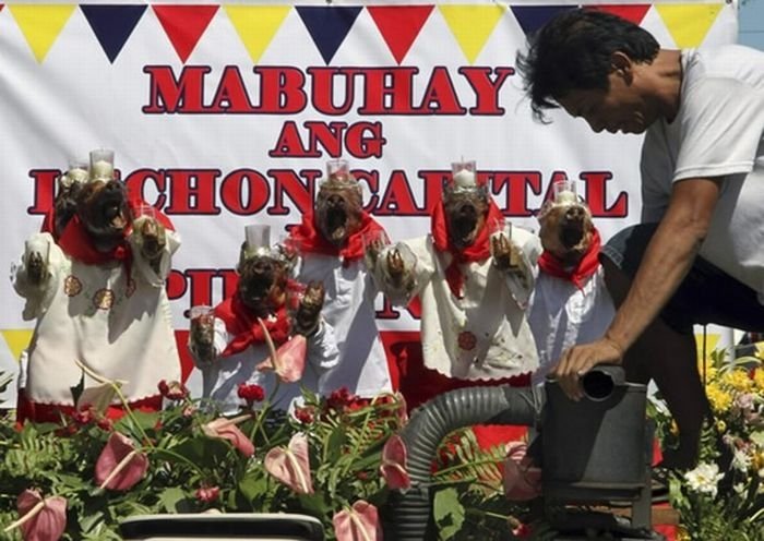 Parada ng Lechon, Parade of Roast Pigs