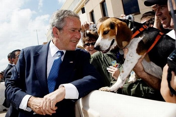 Funny photo of George Bush