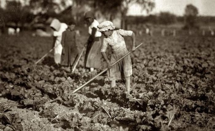 History: Portrait of American children, United States