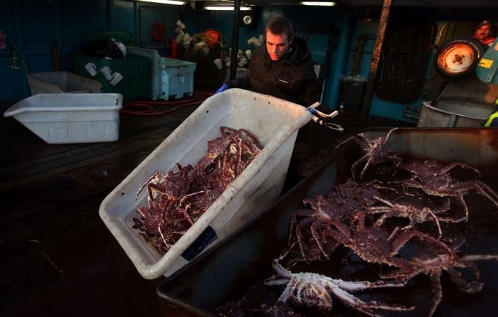 Deadliest catch, Discovery Channel