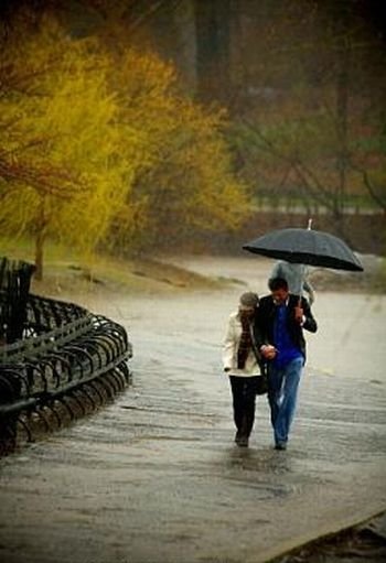 proposal of marriage in the rain