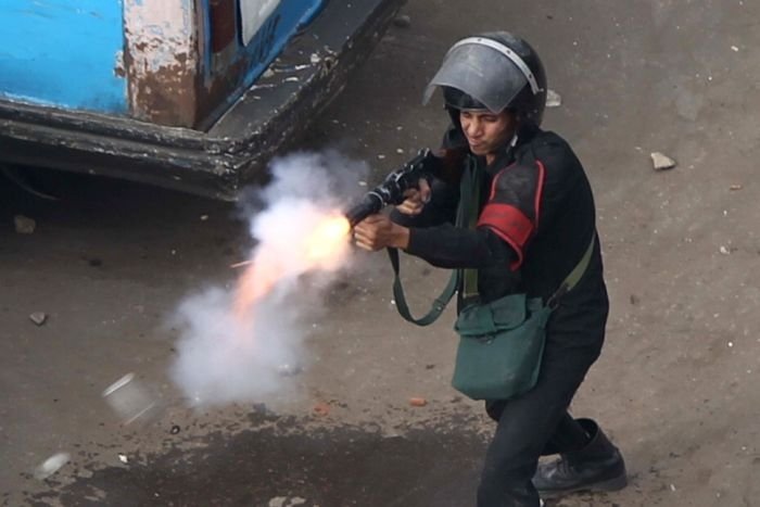 The 2011 Egyptian protests