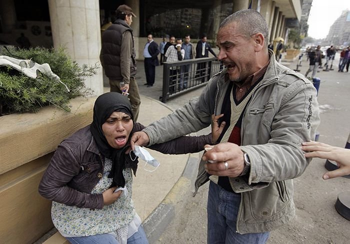 The 2011 Egyptian protests