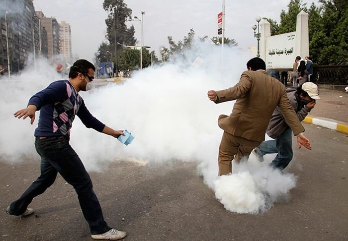 The 2011 Egyptian protests