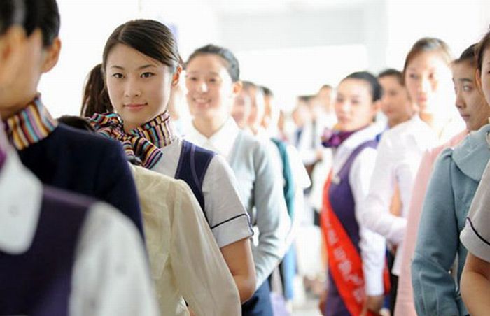 flight attendants around the world